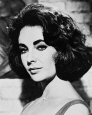 Elizabeth Taylor Photographie