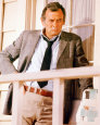 David Janssen (Fotos) Poster