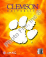College sports efter type Posters