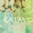 Reflections: Calm