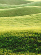 Perfect Lawn, Mount Juliet, Co Kilkenny, Ireland, Golf Course Same as Feature Pic No