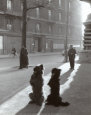Les Chiens de la Chapelle Art Print by Robert Doisneau