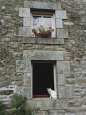 Cat in a Window in Brittany