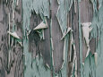 Walls & Barriers Posters