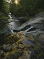 Cours d'eau (photographies couleur) Affiches