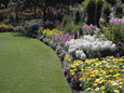 Flower Garden Lámina fotográfica