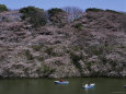 Imperial Palace Moat, Tokyo, Japan