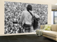 Woodstock (Wall Murals) Posters