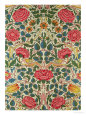 Rose, 1883