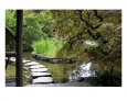 Japanese Garden Stone Path Fotografie-Druck von William Luo