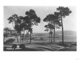 Pebble Beach, CA - Golf Course Coast View Photograph