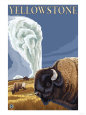 Bison Posters