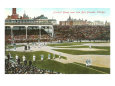 Old Chicago Ball Grounds Giclee Print
