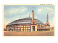 The Arena, St. Louis, Missouri Giclee Print