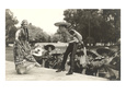 Mexican Hat Dance, Photo Gicleetryck
