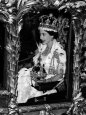 Royal Family (Daily Mirror) Posters