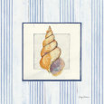 Sanibel Shell II Lámina por Avery Tillmon