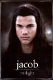 Taylor Lautner Posters