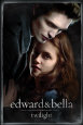 Twilight (Video Release) Poster