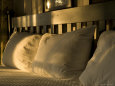 Fluffed Pillows on a Cabin Bed at Lake Champlain Photographic Print
