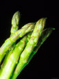 Asparagus Posters