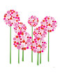 Pink Allium Art Print by Avalisa