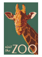 Zoos Posters