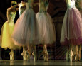 Ballet Dancers (Color Photography) Posters