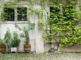 Courtyard off Psoriases, Graz, Styria, Austria