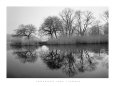 Prospect Park Morning