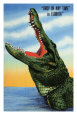 Animaux sauvages - photographie de collection Posters