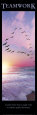 Photographies couleur d'oiseaux Posters