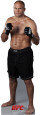 UFC - Randy Couture Stand Up
