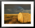Landscape and Hay Roll in Alberta, Canada