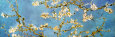 Floral and Garden (van Gogh) Posters