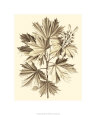 Feuilles (beaux-arts) Affiches