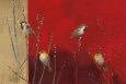Sparrows Posters
