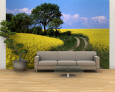 Canola, Farm, Yellow Flowers, Germany Wall Mural – Large