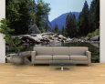 Mountain Behind Pine Trees, Tenaya Creek, Yosemite National Park, California, USA Wall Mural – Large
