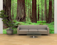 Photography Wall Murals Posters