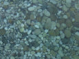 Arrecifes coralinos Pósteres