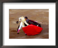 Matador at Monumental El Paso, Bullfight Fiesta Brava, San Luis Potosi, Mexico