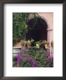 Bougainvillea and Geranium Pots on Wall in Courtyard, San Miguel De Allende, Mexico
