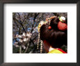 Close-up of Geisha on Philosophers Path, Kyoto, Japan