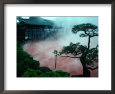 Steam Rising from Hot Spring and Baths Or Jigoku Meaning Hells, Beppu, Kyushu, Japan
