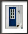 Village Door with Cat, Kokkari, Samos, Aegean Islands, Greece