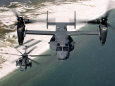 Helicópteros militares Pósteres
