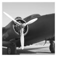 Vintage Flight IV Art Print by Janet Van Arsdale