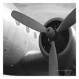 Vintage Flight III Art Print by Janet Van Arsdale