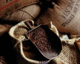Cafe en Sacs Art Print